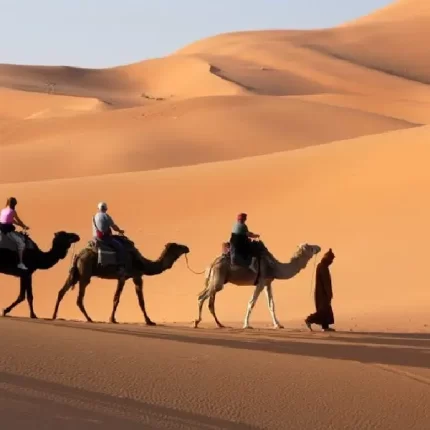 Ruta 3 días desde Fez a Marrakech vía el desierto